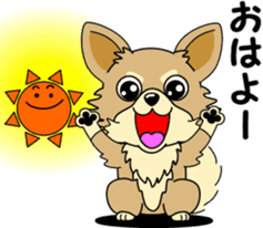 Cute Chihuahua dog sticker #7779940