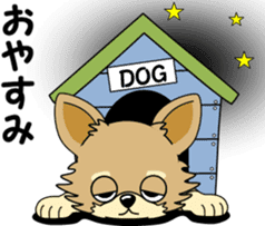 Cute Chihuahua dog sticker #7779943