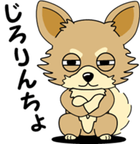 Cute Chihuahua dog sticker #7779946