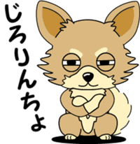 Cute Chihuahua dog sticker #7779946
