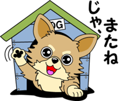 Cute Chihuahua dog sticker #7779947