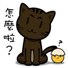 Orange's daily life sticker #7780389