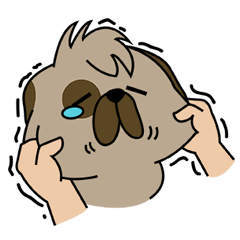 Family Dog Loves Dumb Jokes