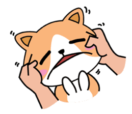 Family House Cat Anxious Moody sticker #7785435