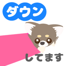 Chihuahua stance sticker #7785575