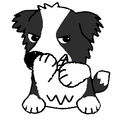 I Love cute border collie 2