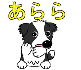 I Love cute border collie 2 sticker #7786990