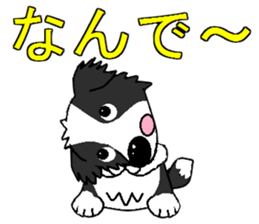I Love cute border collie 2 sticker #7787014