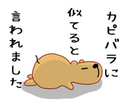 Kyapibara sticker #7792190