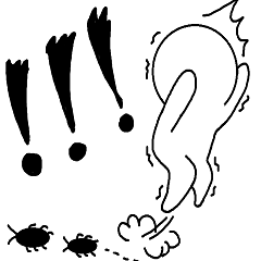 Normal people's most used words