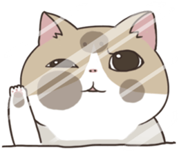 Noa Nia sticker #7792559