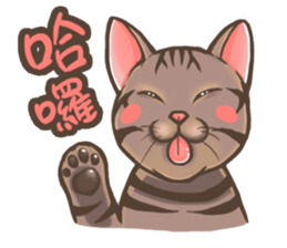 Fat cat's life sticker #7792676