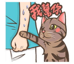 Fat cat's life sticker #7792677