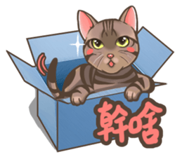 Fat cat's life sticker #7792679
