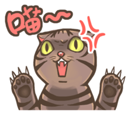 Fat cat's life sticker #7792683