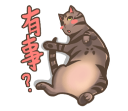Fat cat's life sticker #7792699