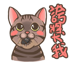 Fat cat's life sticker #7792709