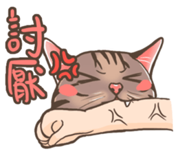 Fat cat's life sticker #7792714