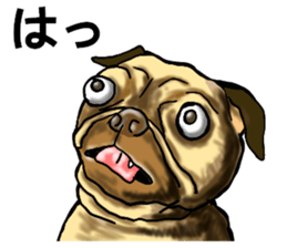 sticker of the reaction to animal sticker #7793577