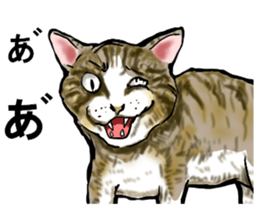 sticker of the reaction to animal sticker #7793578