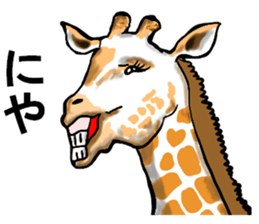 sticker of the reaction to animal sticker #7793595