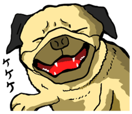 sticker of the reaction to animal sticker #7793598