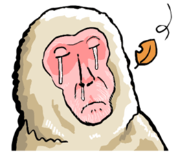 sticker of the reaction to animal sticker #7793607