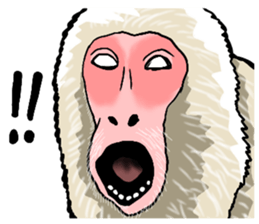sticker of the reaction to animal sticker #7793610