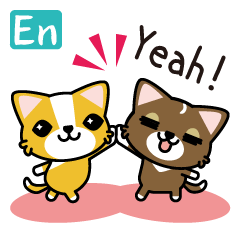 cuteChihuahua with daily conversations E