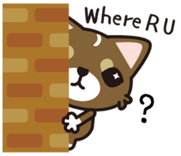 cuteChihuahua with daily conversations E sticker #7795144