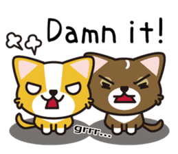 cuteChihuahua with daily conversations E sticker #7795153