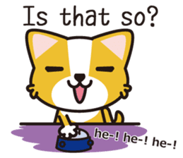 cuteChihuahua with daily conversations E sticker #7795158