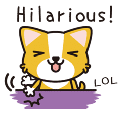 cuteChihuahua with daily conversations E sticker #7795160