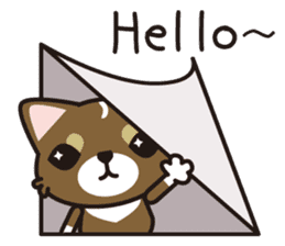 cuteChihuahua with daily conversations E sticker #7795165