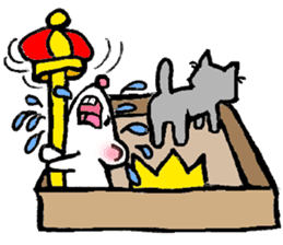 Cat in a box. Cat in a Fort. I sticker #7796454