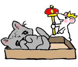 Cat in a box. Cat in a Fort. I sticker #7796473