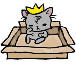Cat in a box. Cat in a Fort. I sticker #7796477