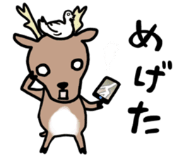 Hiroshima dialect of the Sticker! sticker #7798164