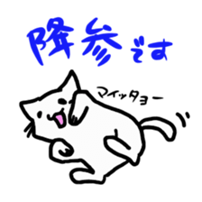 white cat(chirolu) sticker #7798418