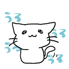 white cat(chirolu) sticker #7798441