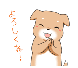 littele mame shiba sticker #7799533