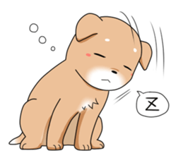 littele mame shiba sticker #7799536