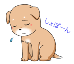 littele mame shiba sticker #7799538