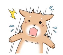 littele mame shiba sticker #7799545