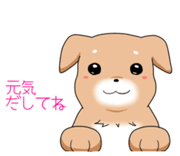 littele mame shiba sticker #7799555