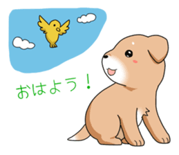 littele mame shiba sticker #7799556