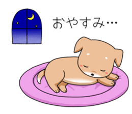 littele mame shiba sticker #7799557