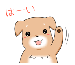 littele mame shiba sticker #7799558