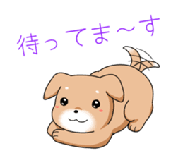 littele mame shiba sticker #7799559