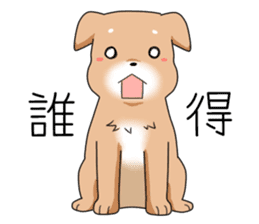 littele mame shiba sticker #7799561